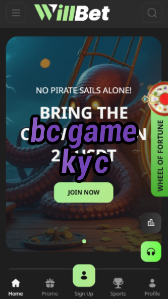 BC Game KYC - Verification Process Guide-vz72fvrf.com