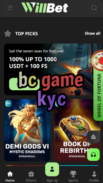 BC Game KYC - Verification Process Guide-vz72fvrf.com